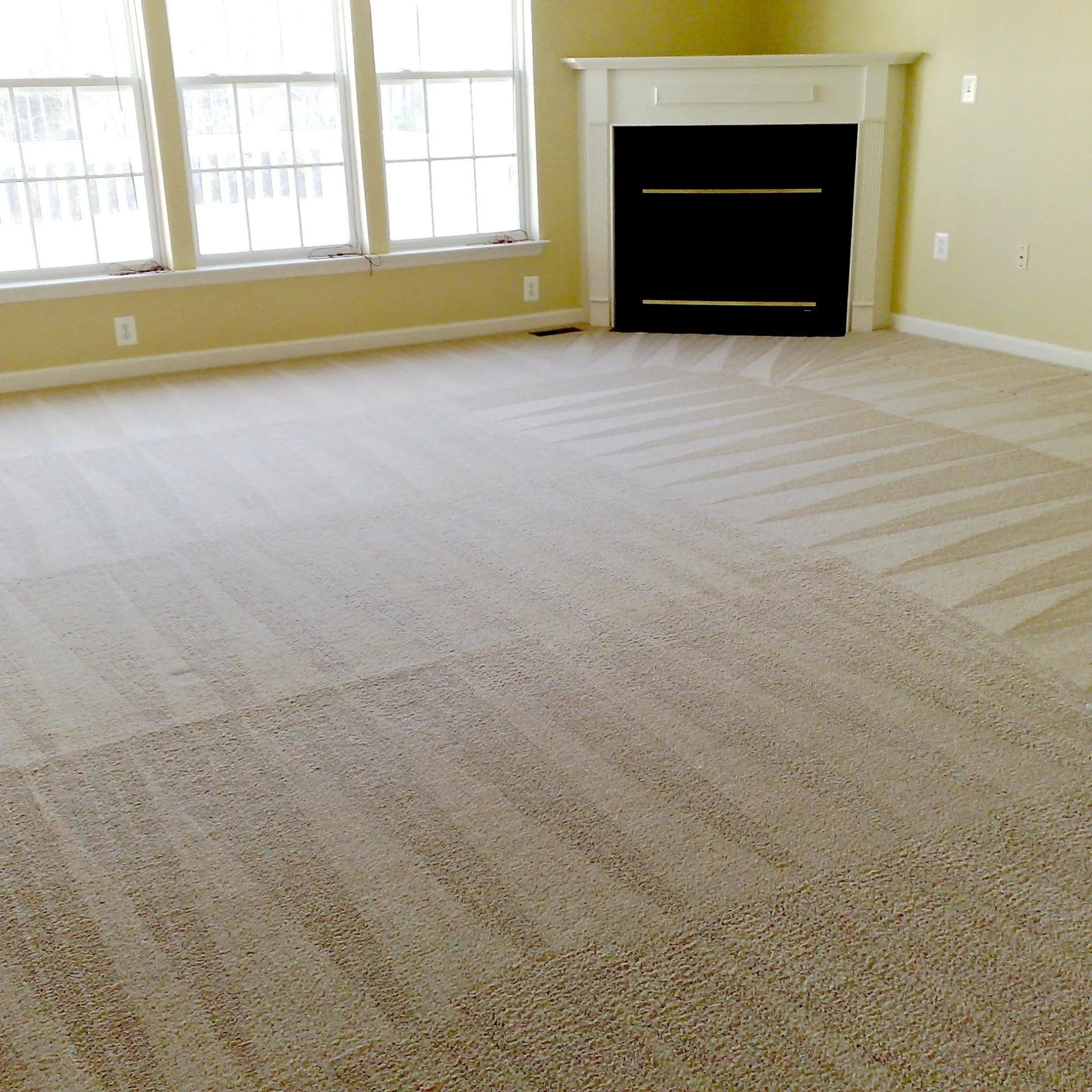 Carpet Cleaning